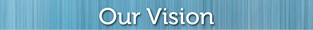 Vision
